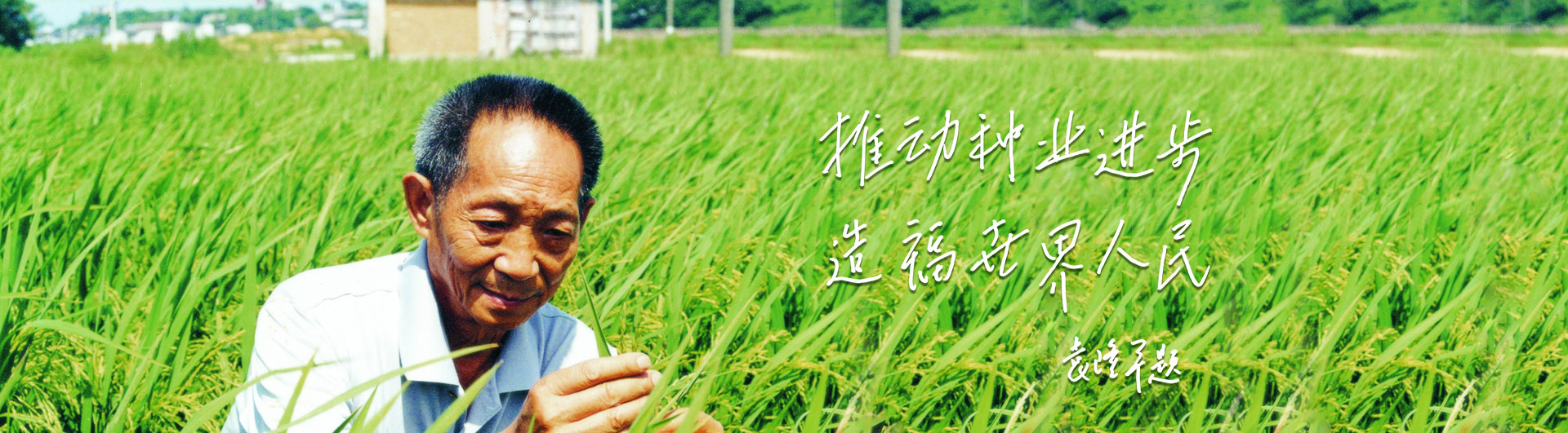 九游会J9官方网站高科